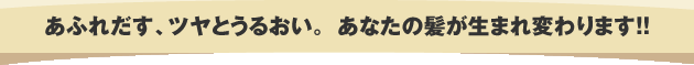 あふれだす、ツヤとうるおい。あなたの髪が生まれ変わります！！